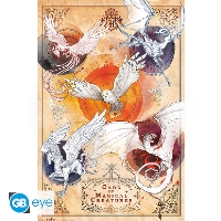Plakát Maxi - HARRY POTTER Magical Creatures  91.5x61