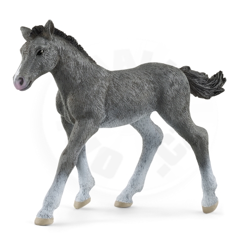 Schleich Zvířátko - hříbě trakénské_(1)
