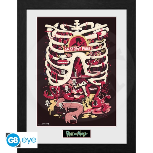 RICK AND MORTY - Framed print "Anatomy Park" (30x40) x2*_(1)