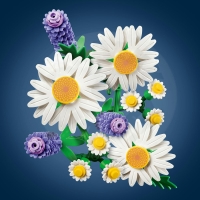 LEGO® Botanicals 11508 Kopretiny_(4)