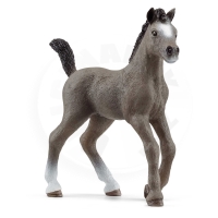 Schleich Zvířátko - Hříbě plemene Selle Français