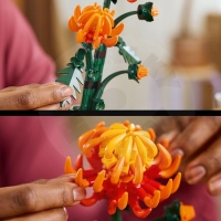 LEGO® Botanicals 10368 Chryzantéma_(6)