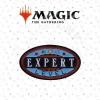 Magic the Gathering - Expert Level Pin Badge - Limited Edition