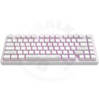 Dark Project ALU Terra Nostra R2 White - Wired Gaming Keyboard (ANSI)