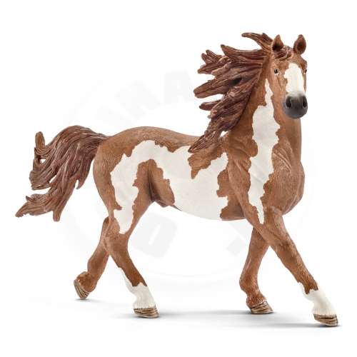 Schleich Zvířátko - hřebec Pinto_(1)
