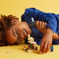 LEGO® Minecraft® 21251 Steve a výprava do pouště_(3)