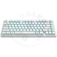 Dark Project ALU Terra Nova R2 White - Wireless Gaming Keyboard (ANSI)